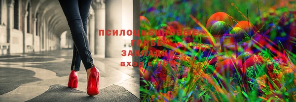 мяу мяу мука Саяногорск