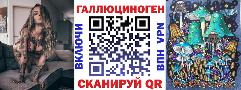 Купить где  Унеча  Псилоцибиновые грибы мухоморы 